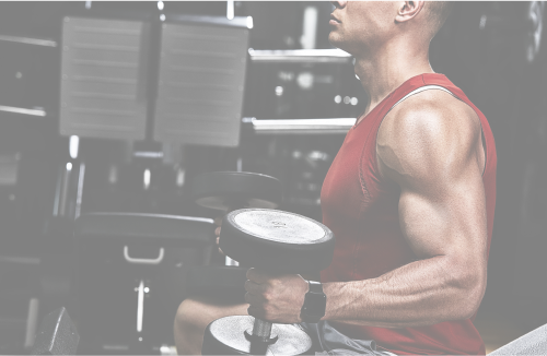 Calisthenics Challenge